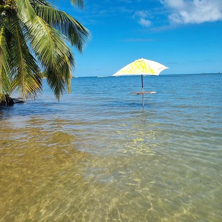 Apartament Kozy Kaz - Les Pieds Dans L Eau La Trinité Zewnętrze zdjęcie