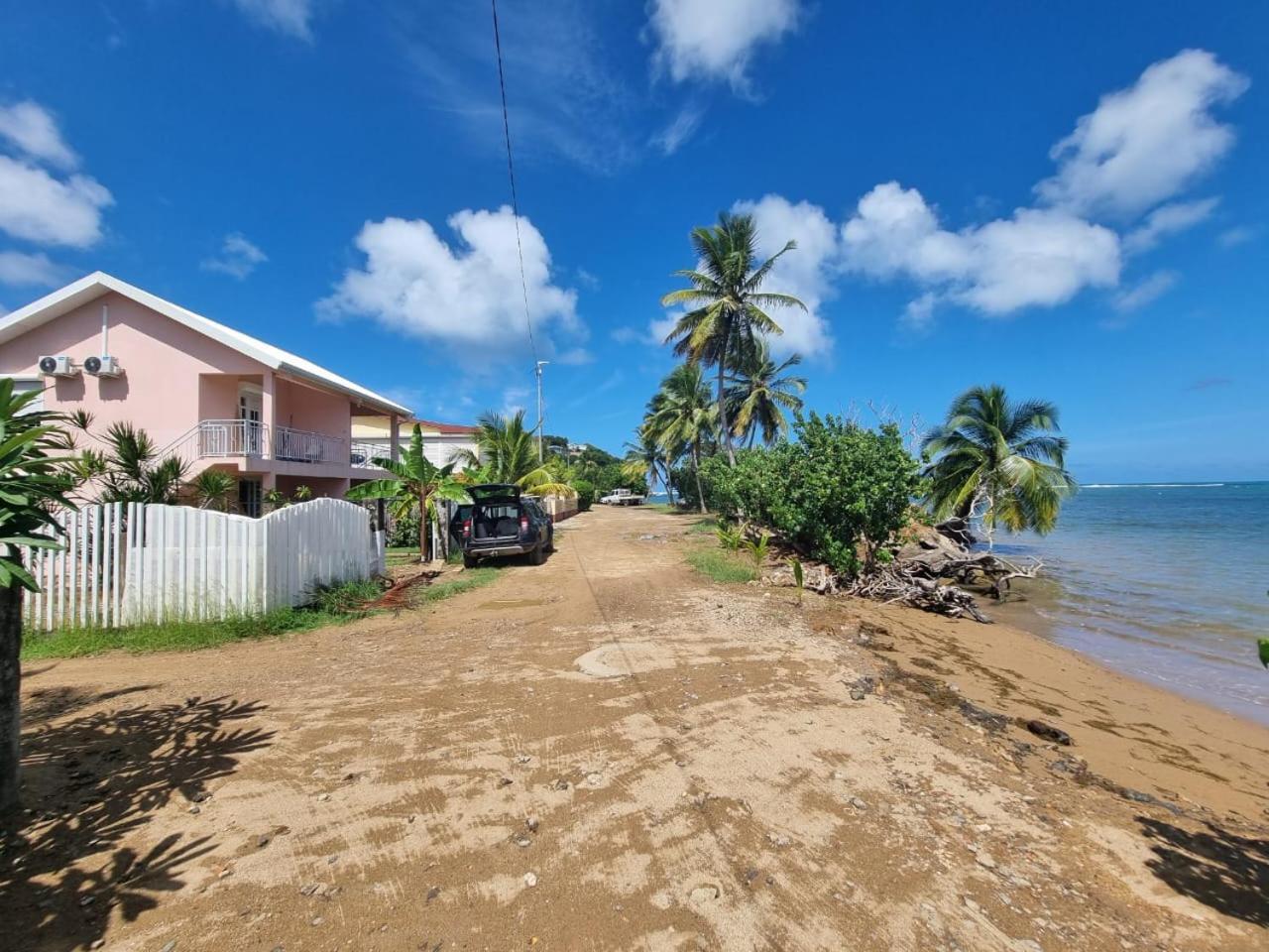 Apartament Kozy Kaz - Les Pieds Dans L Eau La Trinité Zewnętrze zdjęcie