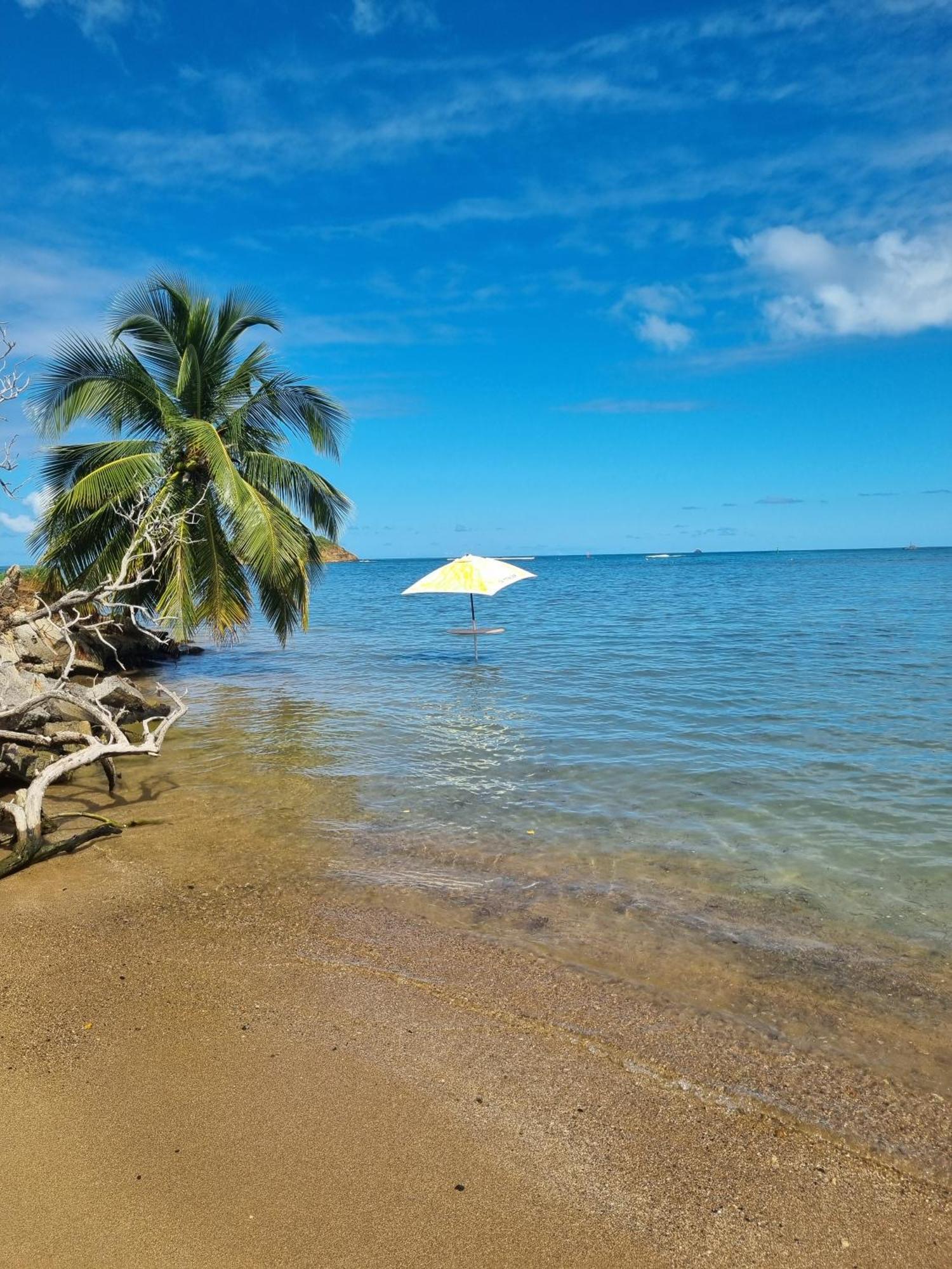 Apartament Kozy Kaz - Les Pieds Dans L Eau La Trinité Zewnętrze zdjęcie